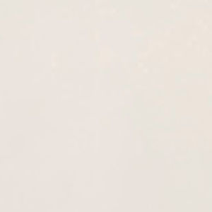 Meet your Posher, Eva